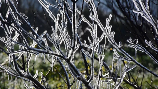 Καιρός (27/1): Παγετός τις πρωινές & τις βραδινές ώρες - Πόσο θα πέσει η θερμοκρασία