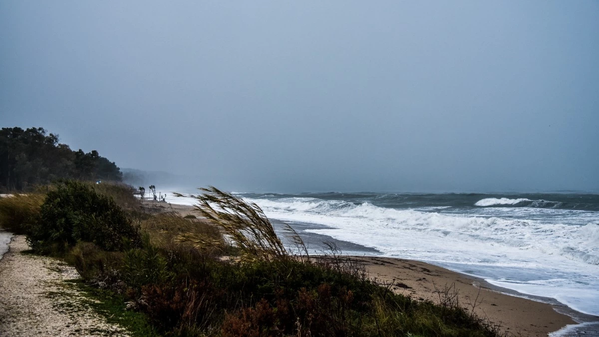 Καιρός σήμερα 17/1: Σποραδικές βροχές με ομίχλη - Που θα φτάσει το θερμόμετρο;