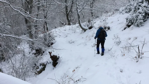 Καιρός (13/1): Παγετός! Τοπικές βροχές και χιονοπτώσεις - Ποιες περιοχές θα πληγούν