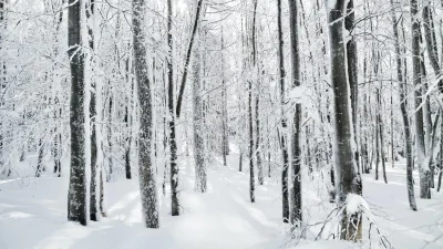 Καιρός 10/1: Τσουχτερό κρύο σήμερα με βροχές - Αναμένονται χιόνια και στα βόρεια προάστια της Αττικής