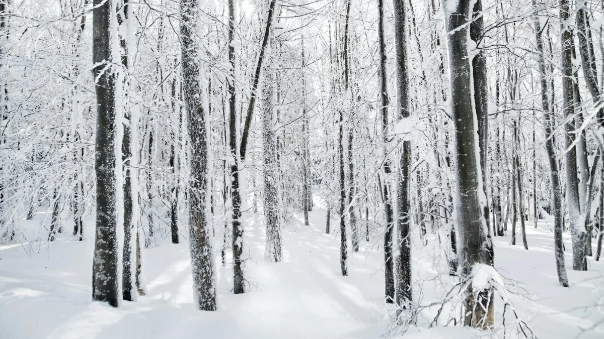 Καιρός 10/1: Τσουχτερό κρύο σήμερα με βροχές - Αναμένονται χιόνια και στα βόρεια προάστια της Αττικής