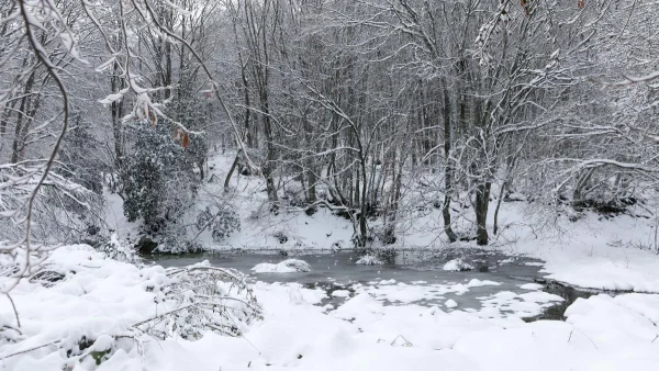 Καιρός - Σάκης Αρναούτογλου: Προειδοποιεί για χιόνια σε Αττική & Θεσσαλονίκη! Οι περιοχές που "κινδυνεύουν"