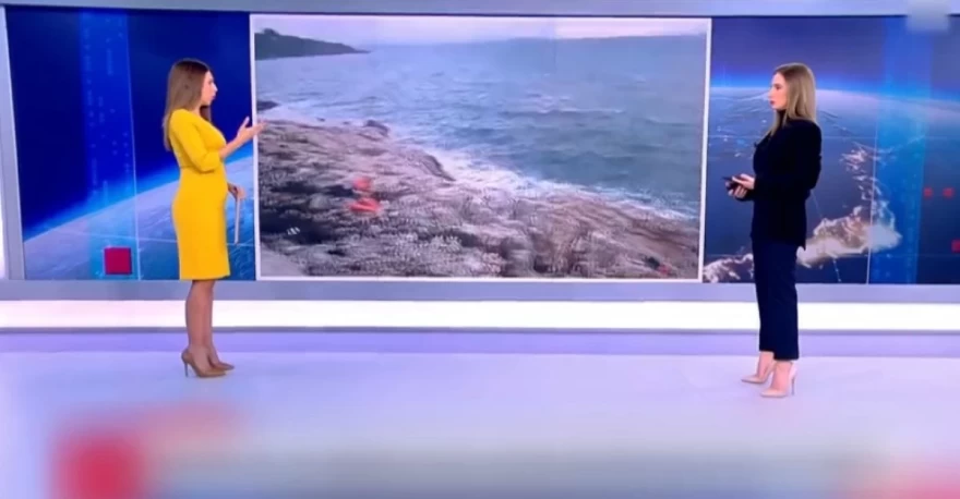 Μαρία Βούσουλα έγκυος