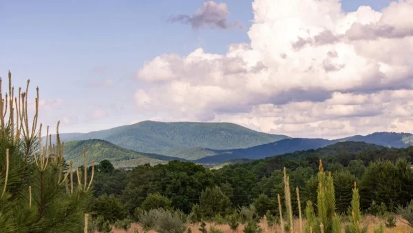 Καιρός (3/1): Λίγα σύννεφα και τοπικές βροχές - Αναλυτικά η σημερινή πρόγνωση