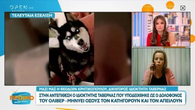 Αράχωβα: «Οι μηνύσεις είναι σε καθημερινό επίπεδο...» - Οι δηλώσεις της δικηγόρου του ιδιοκτήτη ταβέρνας που υποδείχθηκε ως ο δολοφόνος του Όλιβερ