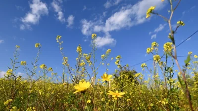 Γενικά αίθριος καιρός σήμερα 9/2 - Σε υψηλά επίπεδα για την εποχή η θερμοκρασία