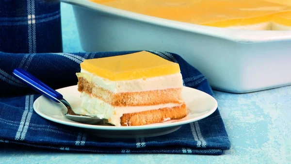 Ελαφρύ και οικονομικό: Γιαουρτογλυκό ψυγείο που τα υλικά του κοστίζουν μόνο 6 ευρώ