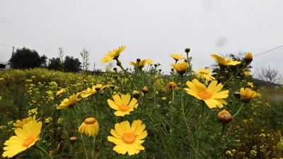 Καιρός 22/2: Άνοδος της  θερμοκρασίας με λίγες νεφώσεις - Σε ποιες περιοχές θα βρέξει;
