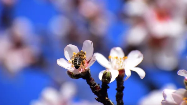 Καιρός 14/2: Με νεφώσεις, βροχές και πτώση της θερμοκρασίας η ημέρα των ερωτευμένων