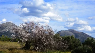 Αίθριος ο καιρός σήμερα Παρασκευή 16/2 - Σε ποιες περιοχές θα χιονίσει;