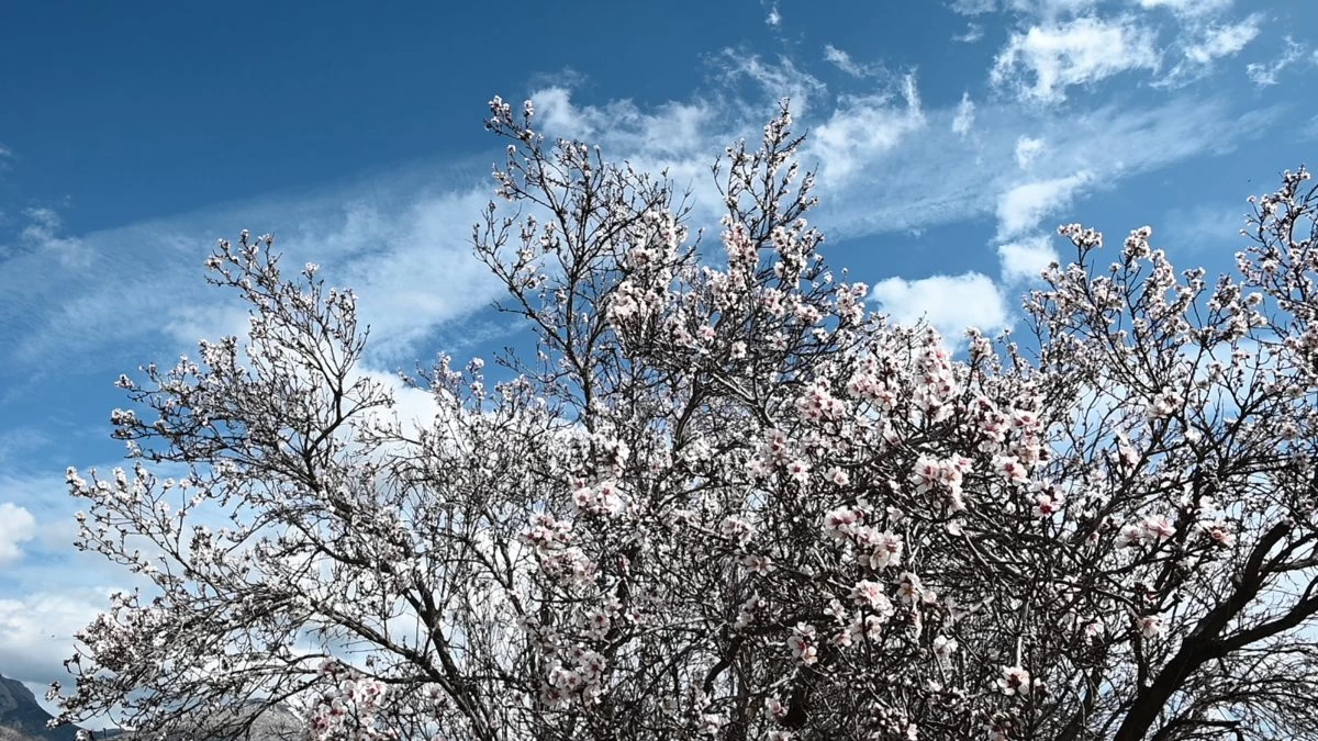 Καιρός 19/2: Πτώση της θερμοκρασίας σήμερα - Αναλυτικά που θα βρέξει