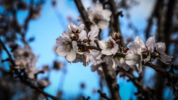 Καιρός 14/3: Σε ποιες περιοχές θα βρέξει σήμερα - Τι συμβαίνει με την θερμοκρασία