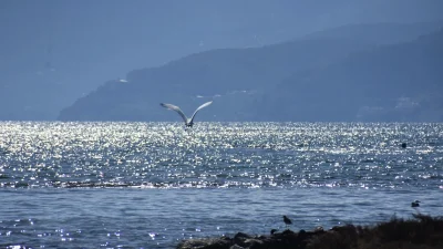 Καιρός 31/3: Κάποιοι θα ρίξουν τις πρώτες βουτιές σήμερα - Σημαντική άνοδος της θερμοκρασίας