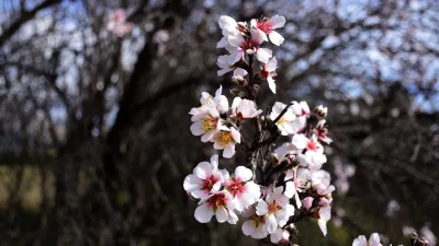 Καιρός (9/3): Γενικά αίθριος με σταθερή θερμοκρασία - Σε ποιες περιοχές θα πέσει βροχή