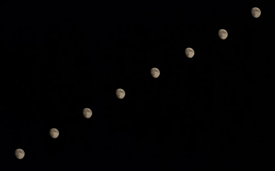 Ζώδια ημέρας