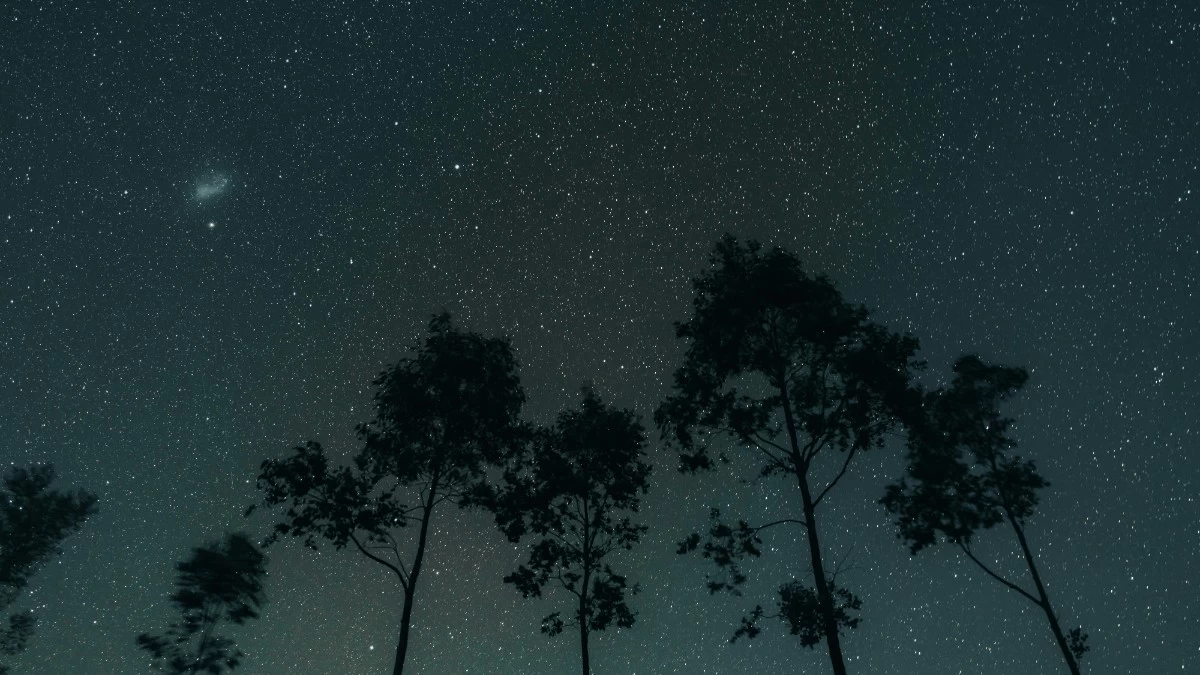 Ζώδια: Τι μας περιμένει σήμερα, Τετάρτη 20 Μαρτίου