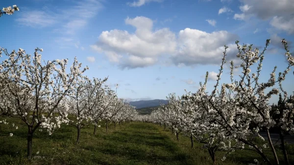 Αίθριος ο καιρός σήμερα 27/3 με άνοδο της θερμοκρασίας - Δείτε αναλυτικά