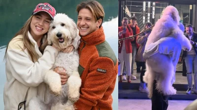 Ηλίας Μπόγδανος: Ήταν η μασκότ της βραδιάς - Καρέ καρέ η στιγμή που το σκυλί του ''ορμάει'' στη σκηνή που τραγουδούσε