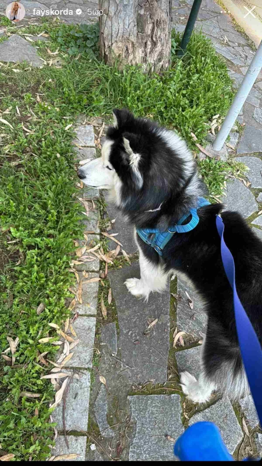 Φαίη Σκορδά - Σαρακοστή