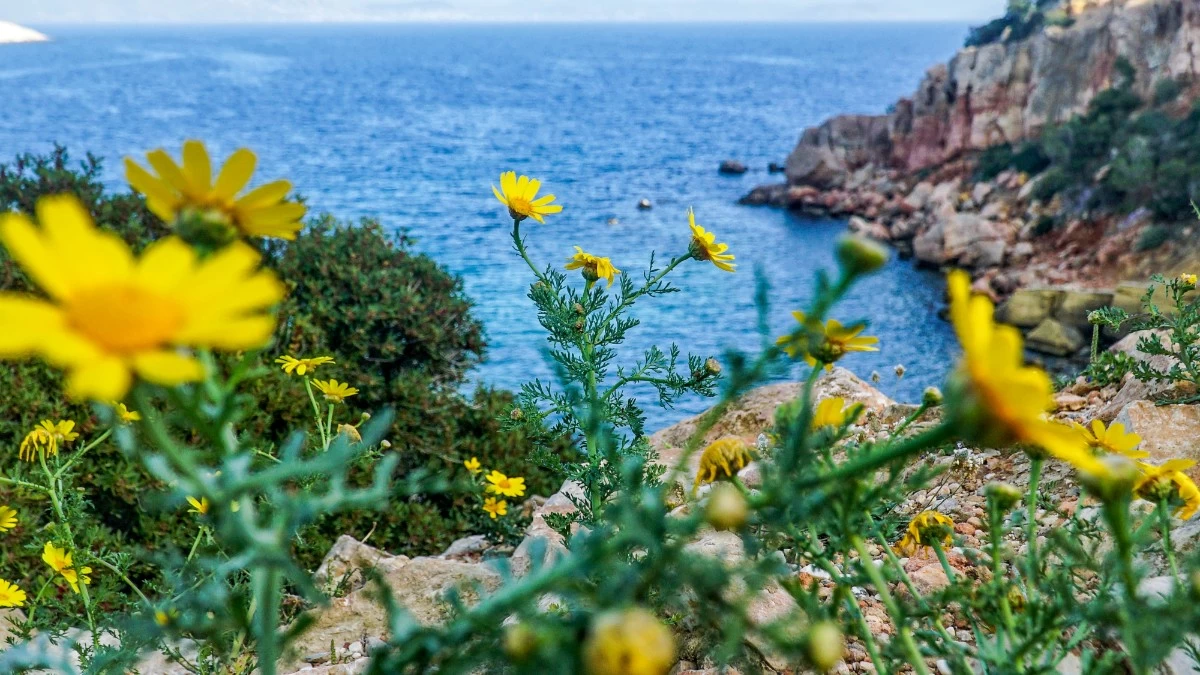 Αίθριος ο καιρός σήμερα 5/4 με υψηλές θερμοκρασίες για την εποχή - Δείτε την πρόγνωση