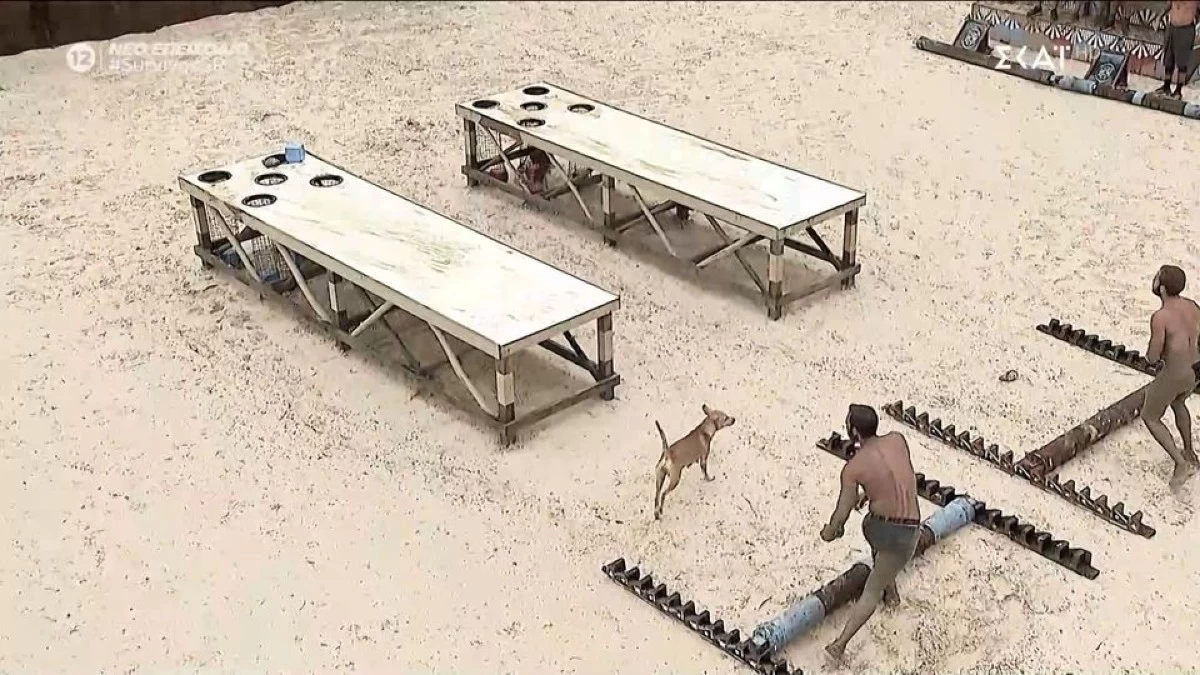 Survivor 29/4: Αυτή η ομάδα κέρδισε τελικά τη 2η ασυλία - Μπήκε σκυλί στην πίστα και κυνήγησε παίκτη