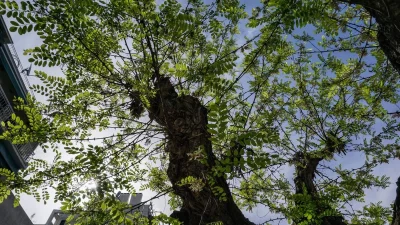 Καιρός 18/4: Αίθριος στη μισή χώρα, με καταιγίδες στην υπόλοιπη - Πέφτει η θερμοκρασία