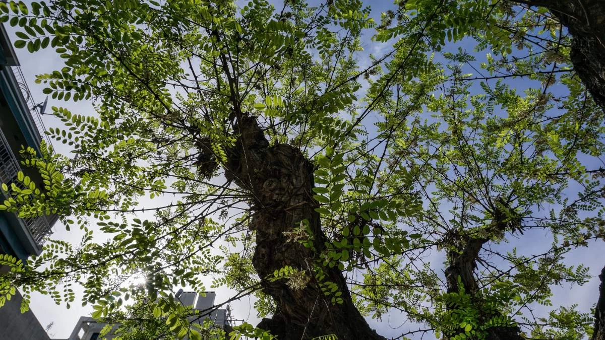 Καιρός 18/4: Αίθριος στη μισή χώρα, με καταιγίδες στην υπόλοιπη - Πέφτει η θερμοκρασία