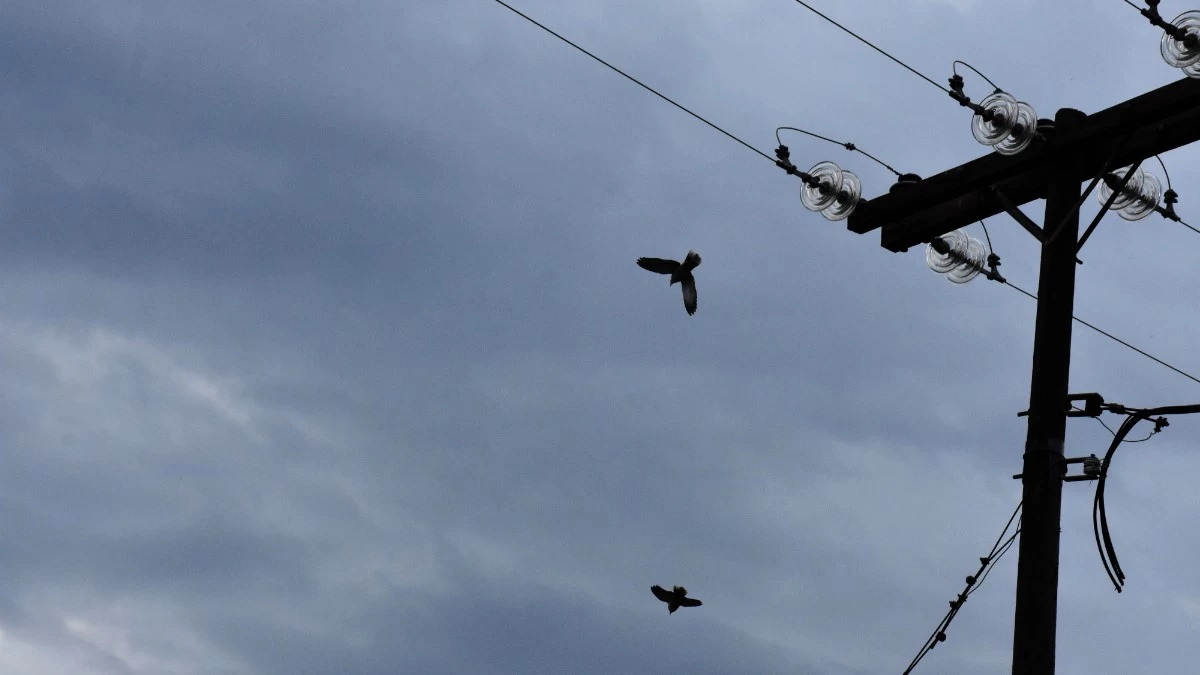 Καιρός 8/4: Αέρας, πτώση της θερμοκρασίας και τοπικές βροχές σήμερα