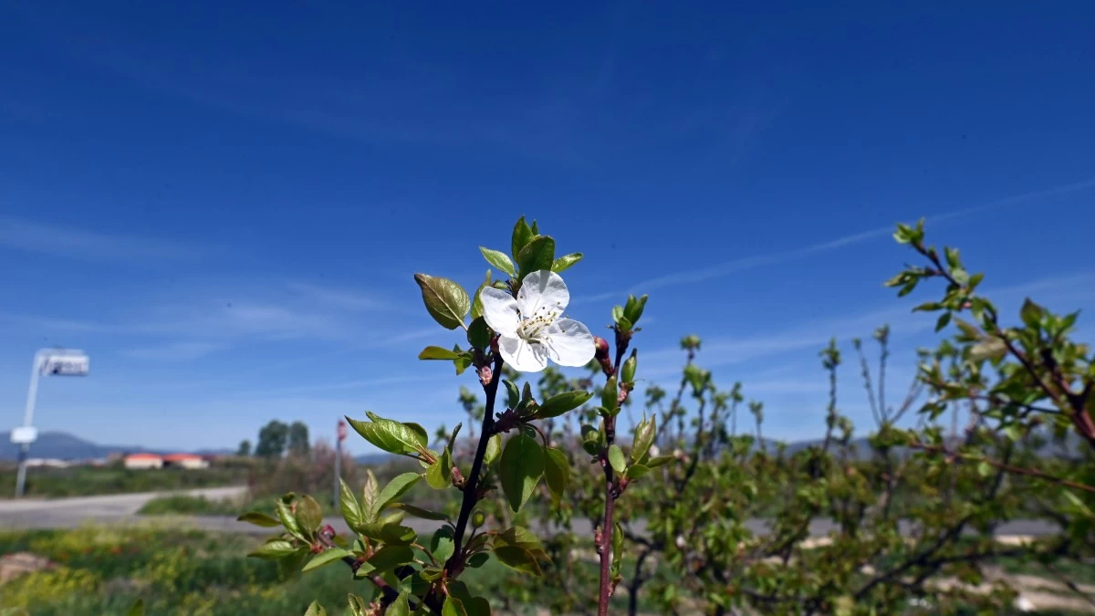 Καιρός 12/4: Ηλιοφάνεια και σήμερα - Σε υψηλά επίπεδα η θερμοκρασία με βοριάδες