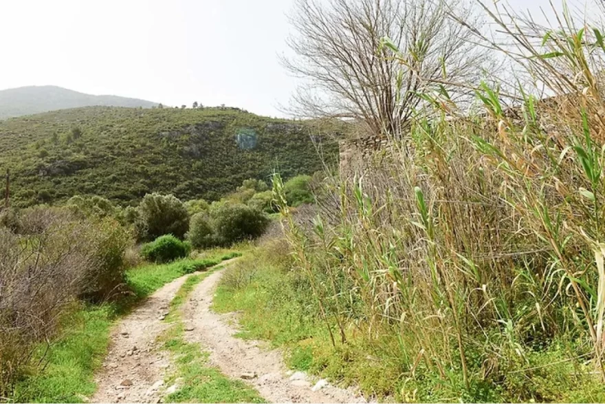 Ο περιβάλλων χώρος της μονής Αγίου Γεωργίου στον Βρανά Μαραθώνα