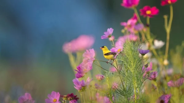 Καλοκαιρινός ο καιρός σήμερα 14/4 - Η θερμοκρασία θα κυμανθεί σε επίπεδα υψηλότερα από τα κανονικά για την εποχή