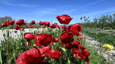 Καιρός 15/4: Ηλιοφάνεια με ζέστη σήμερα - Που θα φτάσει το θερμόμετρο τους 32 βαθμούς;