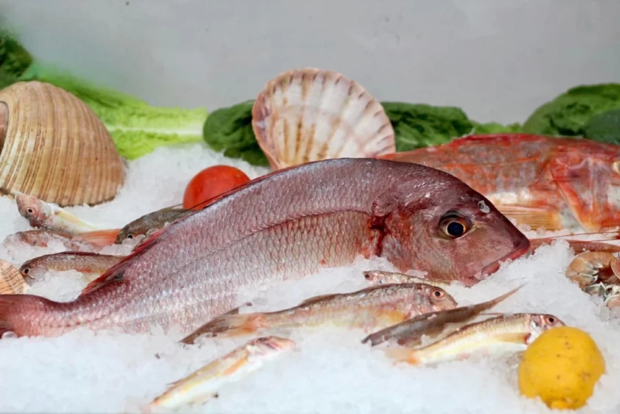 Μπούνος Ψαροσαβούρας Ναύπλιο