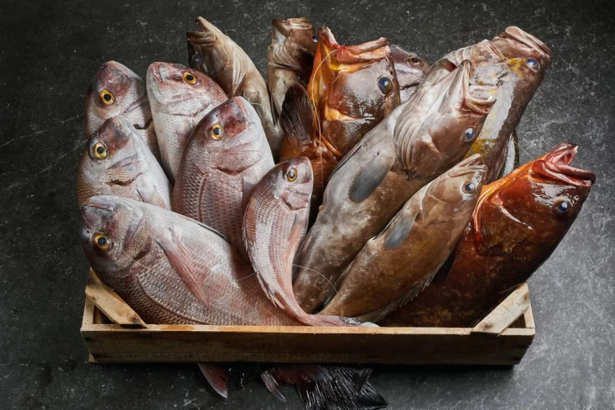 Ψάρι στον Νώντα στην Αίγινα