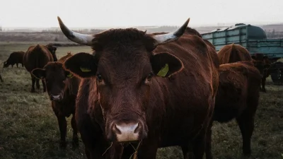 Δίας και Ουρανός στο ζώδιο του Ταύρου - Τι σας περιμένει από 21/4 έως 31/5