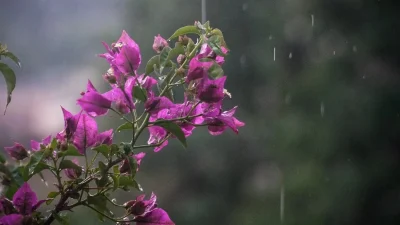 Καιρός 27/5: Θα βρέξει το απόγευμα και το βράδυ - Σε ποιες περιοχές της χώρας