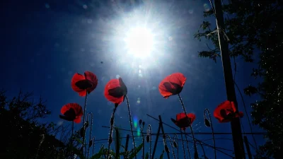 Καιρός 3/5: Γενικά αίθριος στην Αττική - Πού θα βρέξει σήμερα