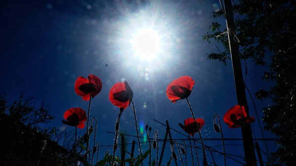 Καιρός 3/5: Γενικά αίθριος στην Αττική - Πού θα βρέξει σήμερα