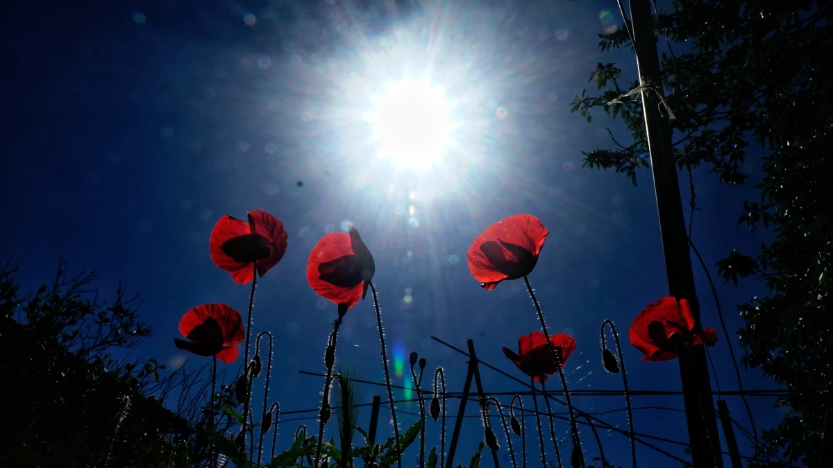 Καιρός 3/5: Γενικά αίθριος στην Αττική - Πού θα βρέξει σήμερα