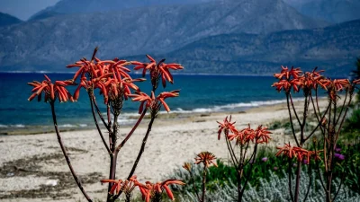 Καιρός 1/5: Με συννεφιά και ασθενείς βροχές μπήκε ο Μάιος - Που θα φτάσει το θερμόμετρο ανά περιοχή