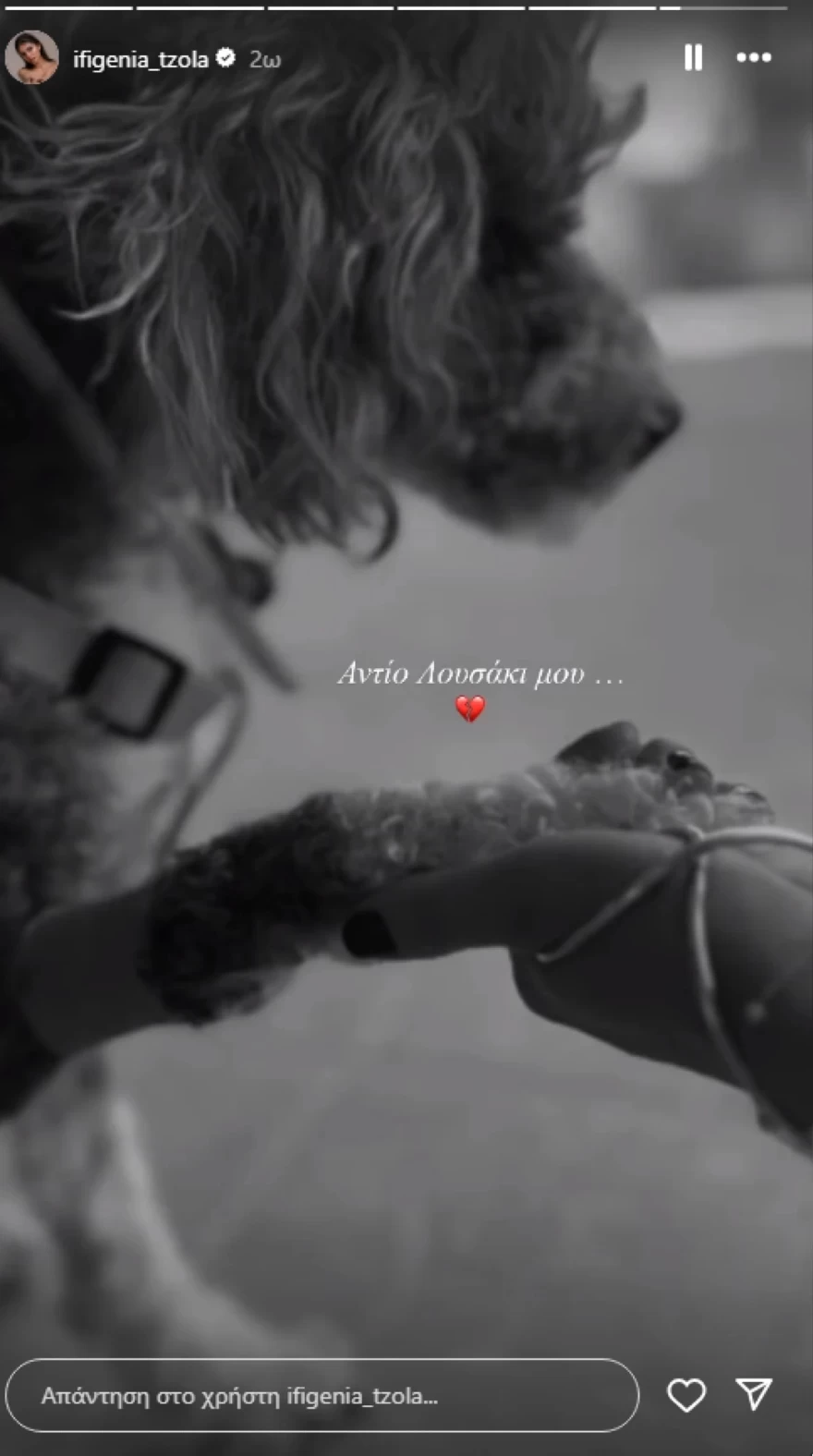 Ιφιγένεια Τζόλα - Πένθος