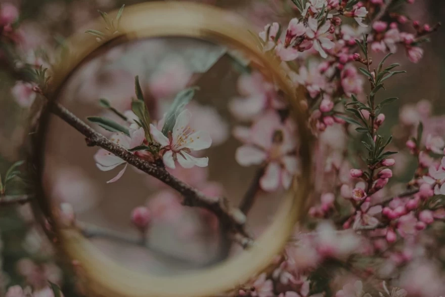 Ζώδια Μαΐου Κώστας Λεφάκης