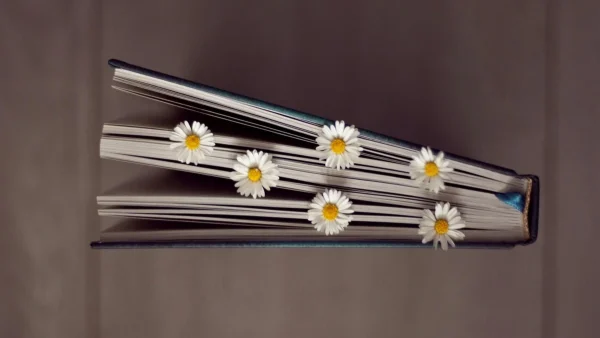 Ζώδια Μαΐου 2024: "Χτύπησε" η Σύνοδος που συναντάμε κάθε 14 χρόνια - Σκληρή και επεισοδιακή σύμφωνα με τον Κώστα Λεφάκη