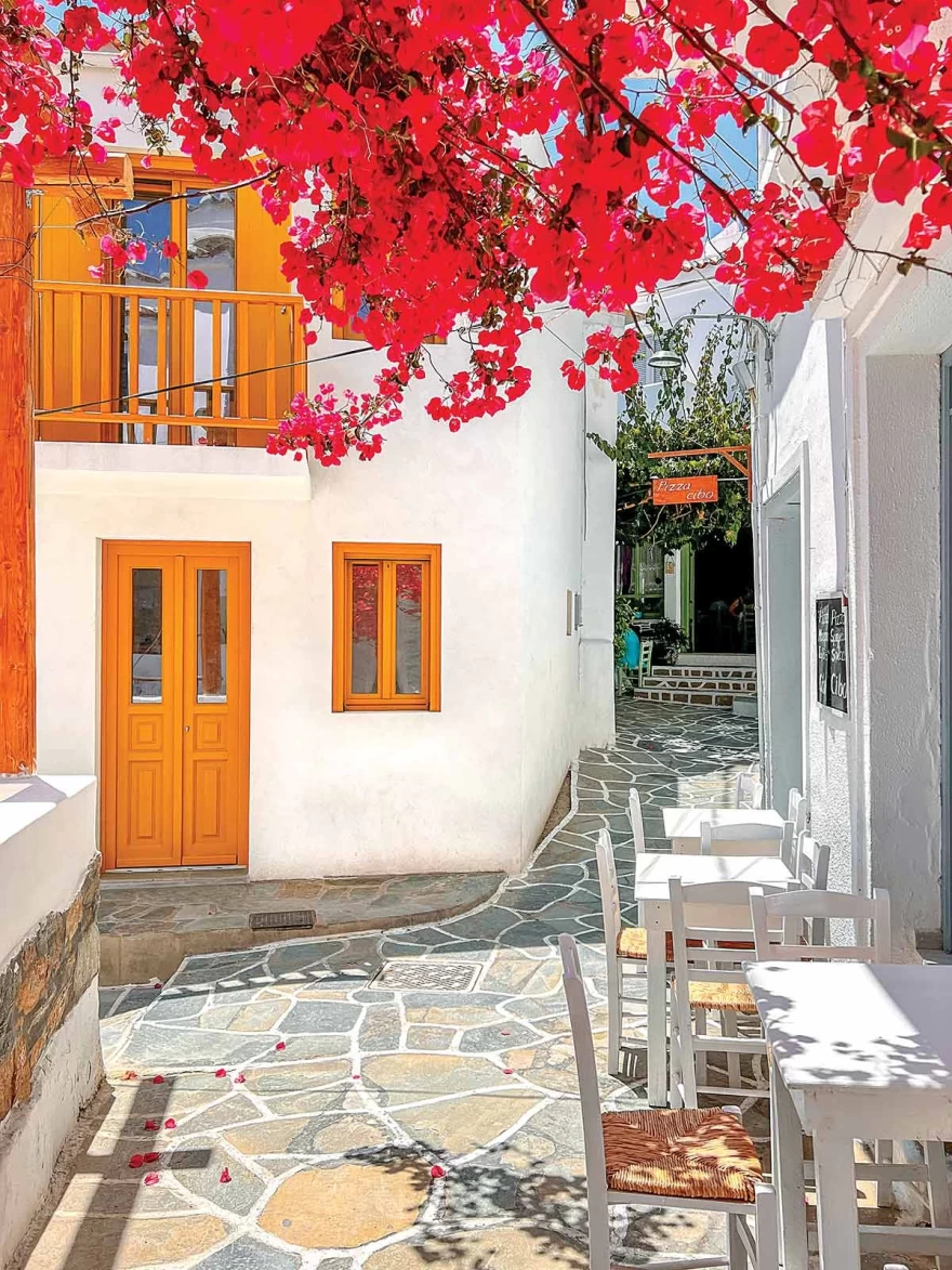 Δρυοπίδα Κύθνος