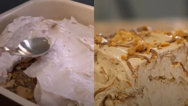 Εύκολο γλυκό ψυγείου με μπισκότα και πραλίνα σοκολάτας - Βάζετε όλα τα υλικά σε ένα ταψί και είναι έτοιμο στο πι και φι