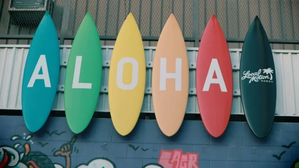 Havaianas x Dolce & Gabanna: Οι πιο trendy σαγιονάρες του καλοκαιριού γίνονται πολυτελείας!