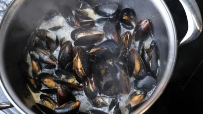 Κι όμως: Μην τρώτε μύδια το καλοκαίρι - Γιατί και τι μπορεί να πάθετε