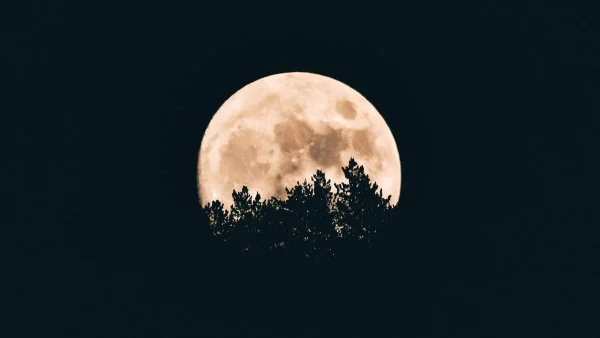 Πανσέληνος στον Αιγόκερω: Πώς θα επηρεαστεί το κάθε ζώδιο - Οι κριοί και άλλα δύο θα ευνοηθούν περισσότερο απ' όλα