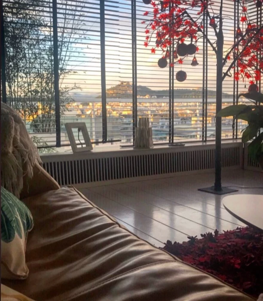 Δήμητρα Ματσούκα σαλόνι