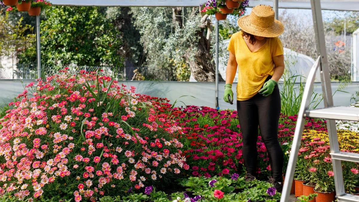 Αυτά τα 9 φυτά μπορούν να σε σκοτώσουν - Κάποια μπορεί να τα έχεις στον κήπο σου και να μην τα γνωρίζεις